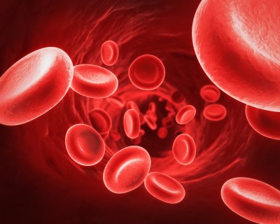 Red Blood Cells The clotting mechanism is necessary for survival in animals  and humans, because the blood circulation system is pressurized, and a  simple cut or wound would prove fatal if the